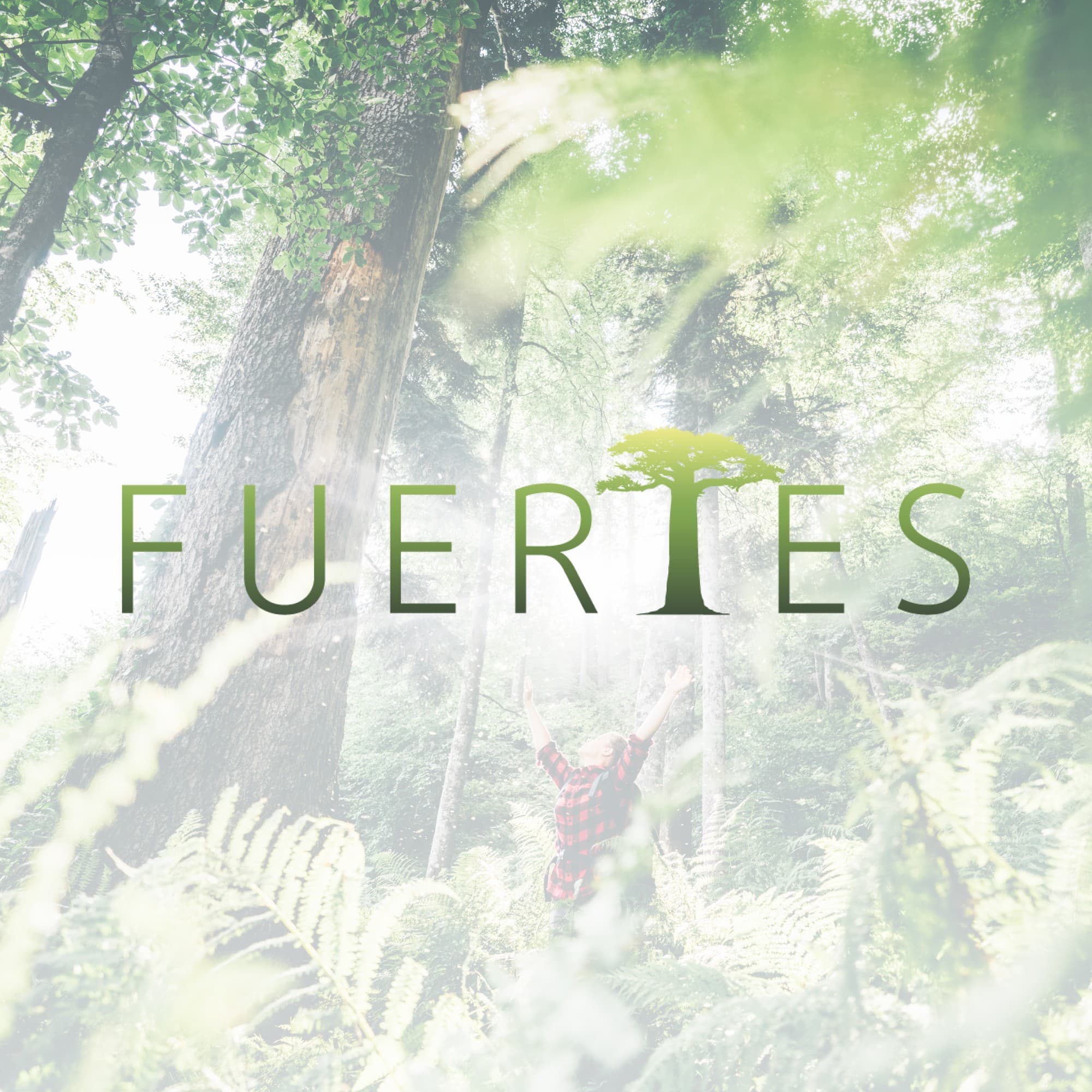 Fuertes, projet réalisé par Mirai Tech