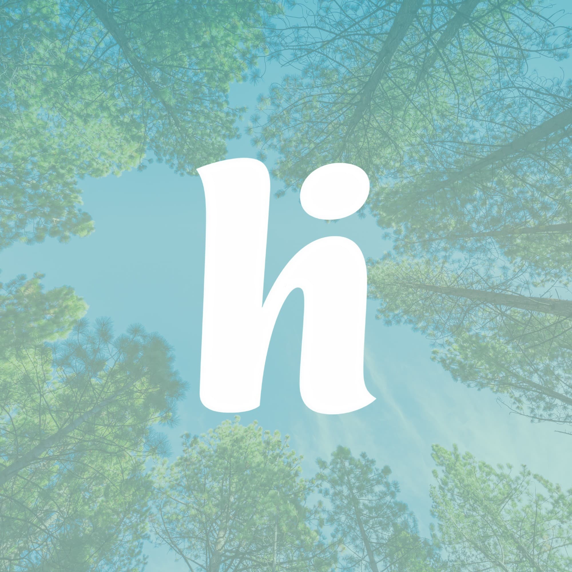 Hire, projet réalisé par Mirai Tech