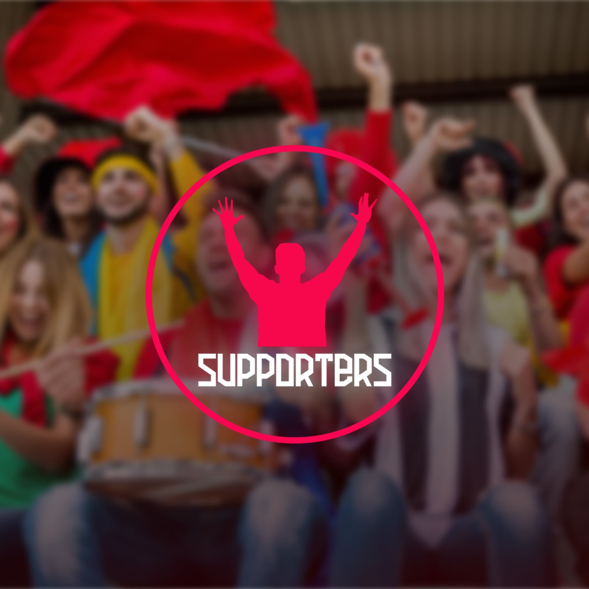 Supporters, projet réalisé par Mirai Tech