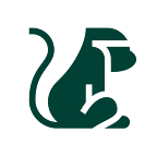MonkeysDev, avis client de l’agence Mirai Tech