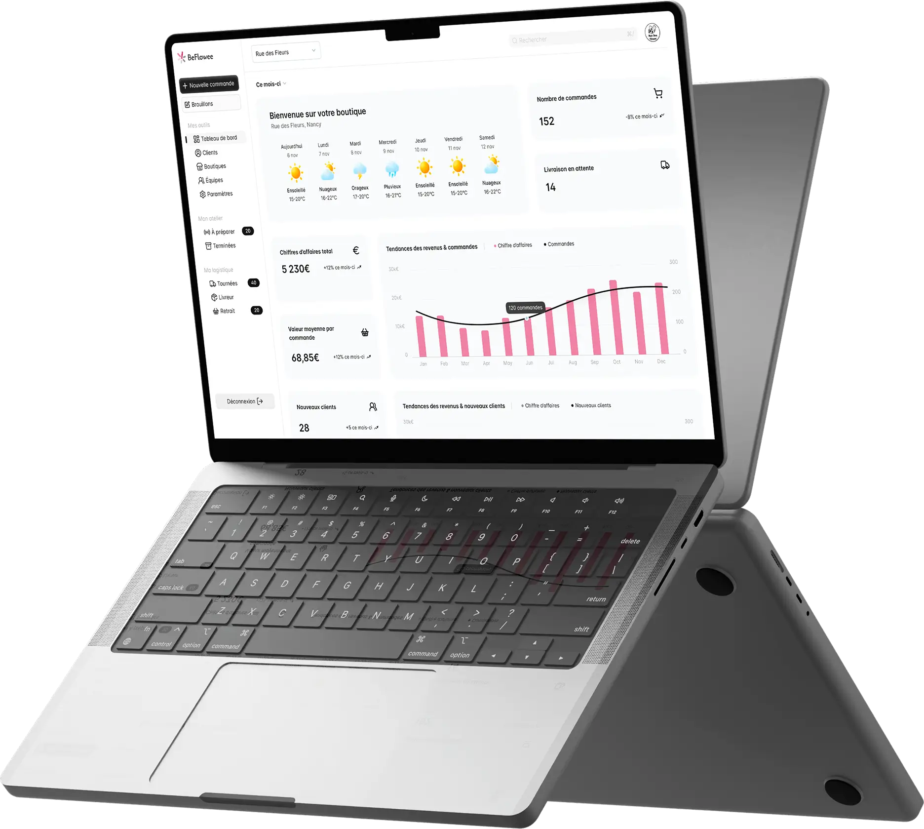 Aperçu du logiciel BeFlowee sur MacBook